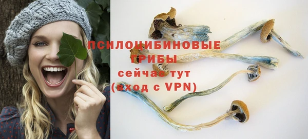ALPHA PVP Богородицк