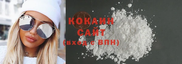 дмт Богданович