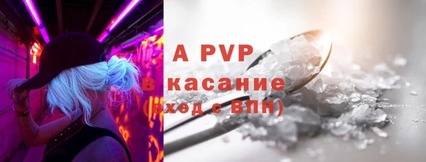 дмт Богданович