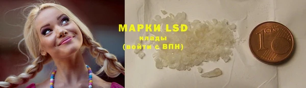 дмт Богданович