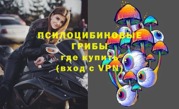 дмт Богданович