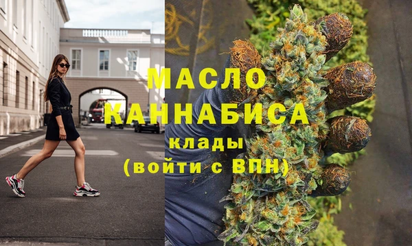 дмт Богданович