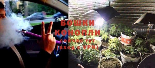прущая мука Богородск