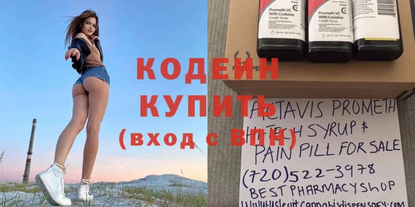 дмт Богданович
