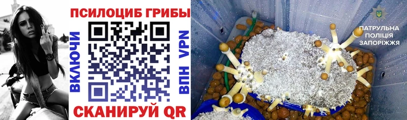 Псилоцибиновые грибы Psilocybine cubensis  что такое   Стерлитамак 